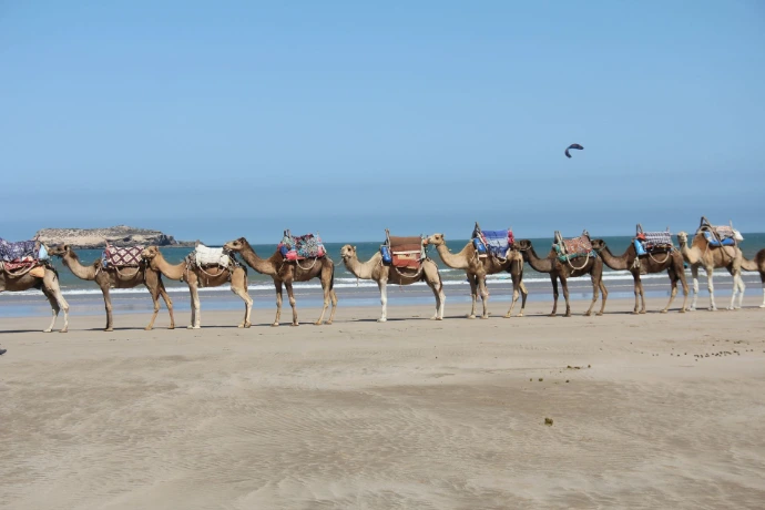 La région d'Essaouira aux alentours de la Villa Aruba
